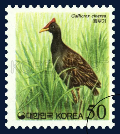 Watercock(scientific name : Gallicrex cinerea) Single stamp