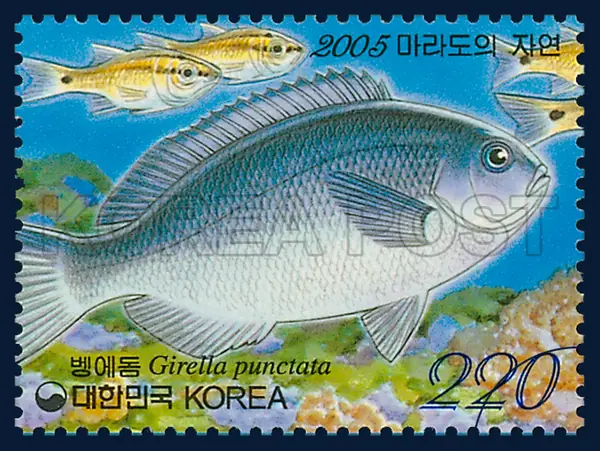 Girella punctata Single stamp