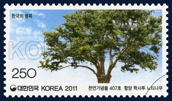 Hamyang Haksaru Zelkova Tree Single stamp