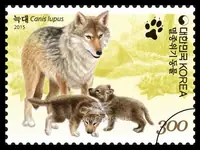 Mother wolf and wolf cub