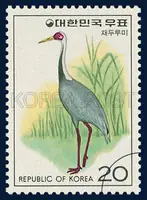 White-naped Crane