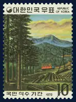 Production of Abundant timber
