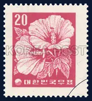 Rose of Sharon