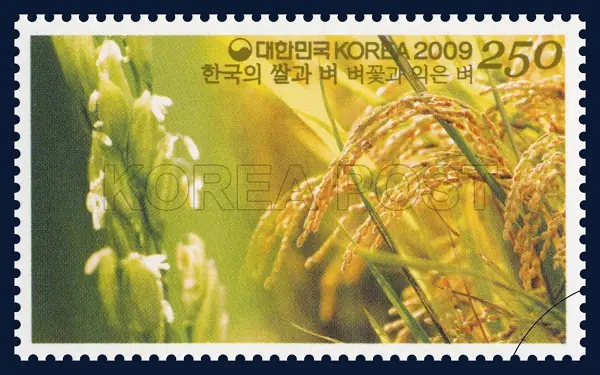 Rice Flowers and Ripened Rice Single stamp
