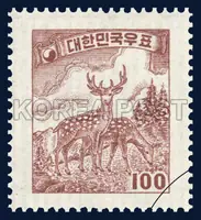 deer