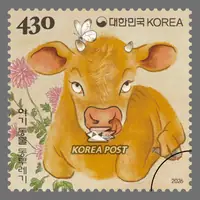 Calf