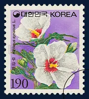 Rose of Sharon