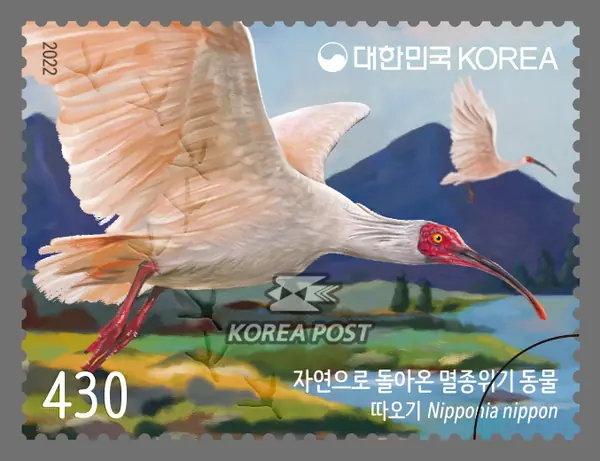 crested ibis in nature Single stamp