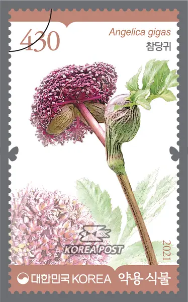 Korean Angelica Single stamp