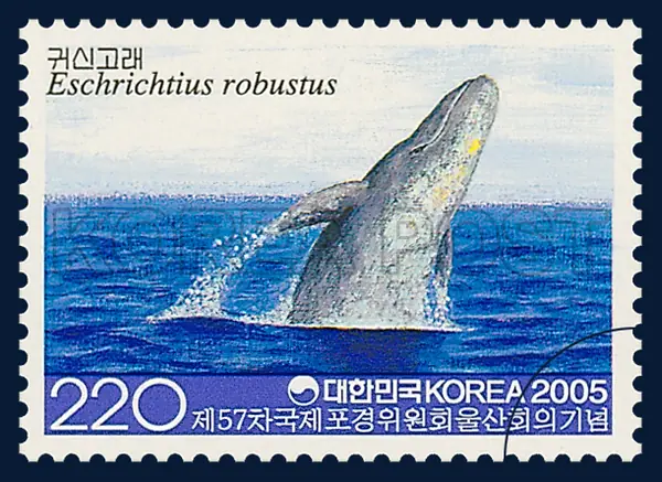 Gray Whale Single stamp