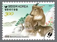 Mother goat and baby goat