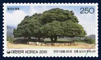 Natural Monument No. 481, Jangheung Samsan-ri Machilus