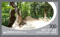 Woljeongsa Temple fir forest path