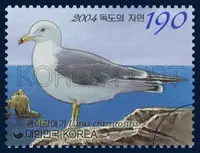 Larus crassirostris
