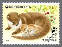 otter cub and mother otter