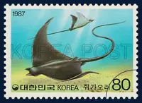 Devil-ray