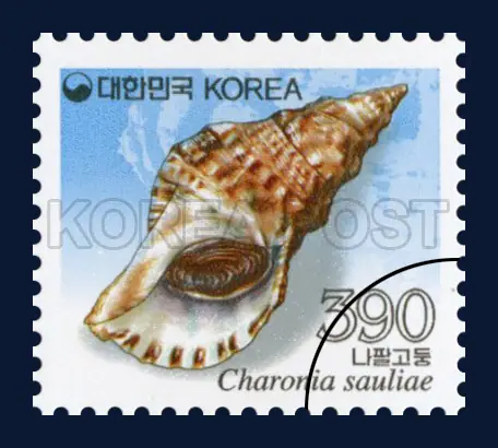 trumpet conch Single stamp