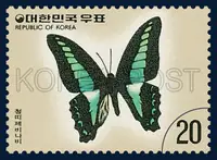 Graphium sarpedon Linne