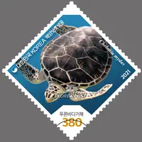 green sea turtle