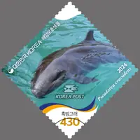 Killer whale
