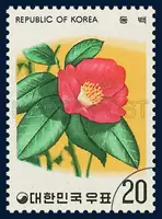 Camellia