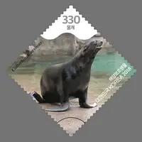 fur seal