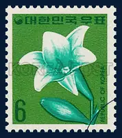 Lily