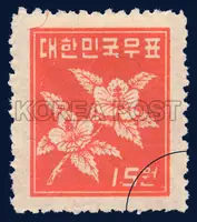 Rose of Sharon