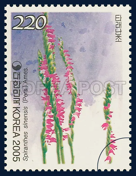 Spiranthes sinensis (Pers.) Ames. Single stamp