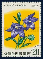 Broad bell flowers