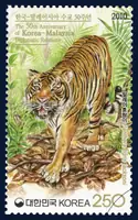 Malayan tiger