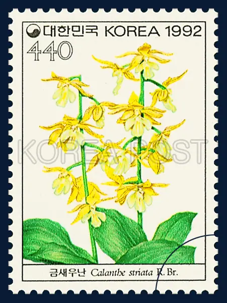 Calantbe strata R, Br. Single stamp