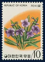 violet
