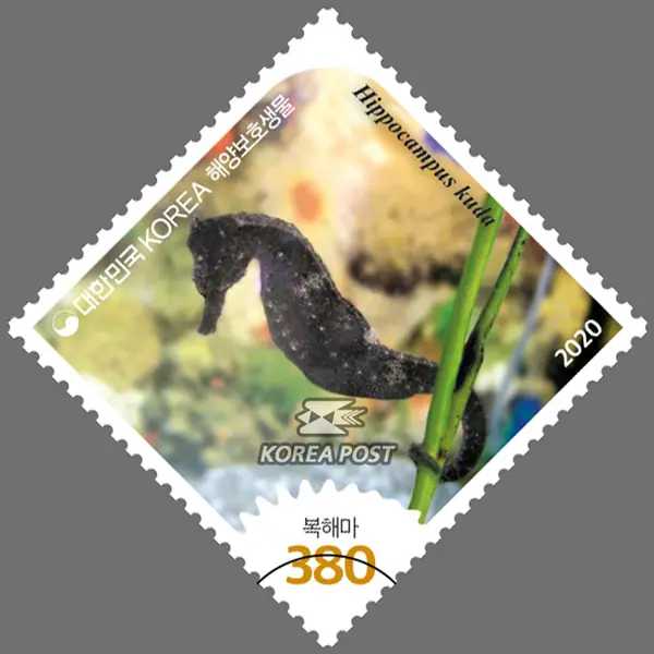 Seahorse Single stamp