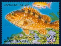Sebastiscus marmoratus
