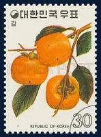 Persimmon