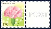 A carnation
