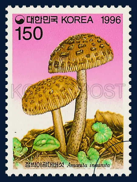 Amantia inaurata Secr. Single stamp