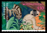 Auston civet, Bonnet gibbon