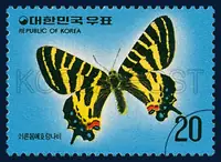 Luehdorfia puziloi Erschov
