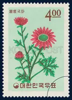 Chrysanthemum of Ulreung