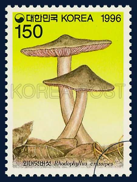 Rhodophyllus Crassipes Imaz. Single stamp