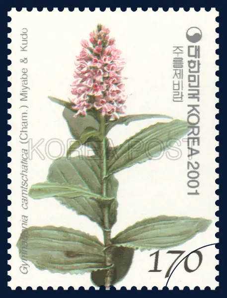 Gymnadenia camtschatica (Cham.) Miyabe & Kudo Single stamp