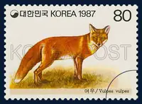 Vulpes velpes