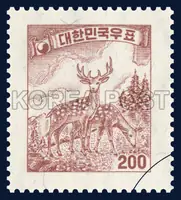 deer