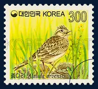 a Skylark