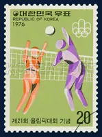 Volleyball