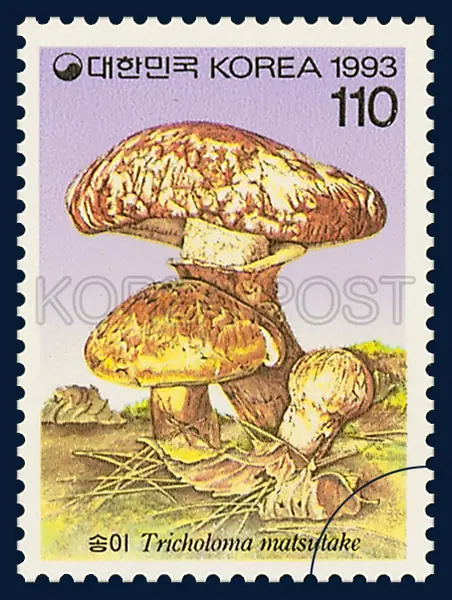 Song-I(Tricolona masutake Sing) Single stamp