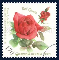 Red Queen