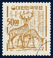 A pair of Deer